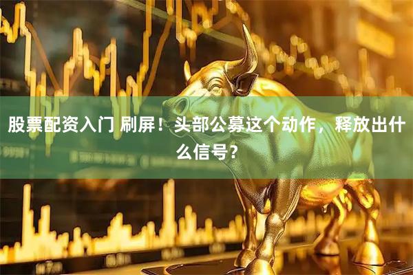 股票配资入门 刷屏！头部公募这个动作，释放出什么信号？