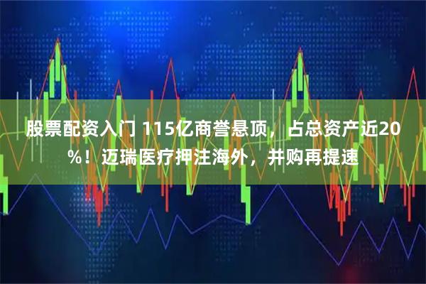 股票配资入门 115亿商誉悬顶，占总资产近20%！迈瑞医疗押注海外，并购再提速
